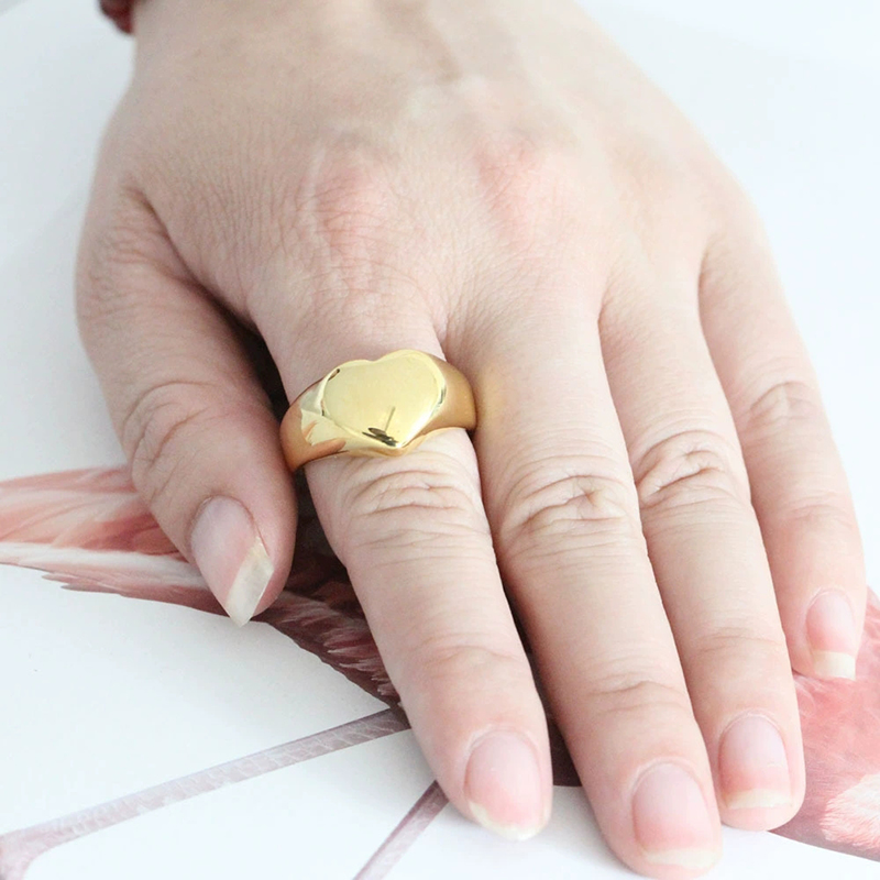365 스테인리스 스틸 펑크 록 스무스 시그넷 커스텀  - Initial Ring Custom 리뷰 및 가격